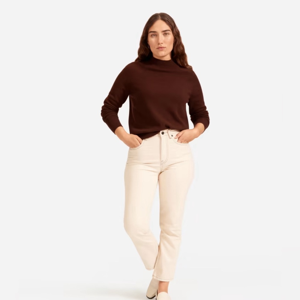 Everlane cashmere raglan mock neck sweater
